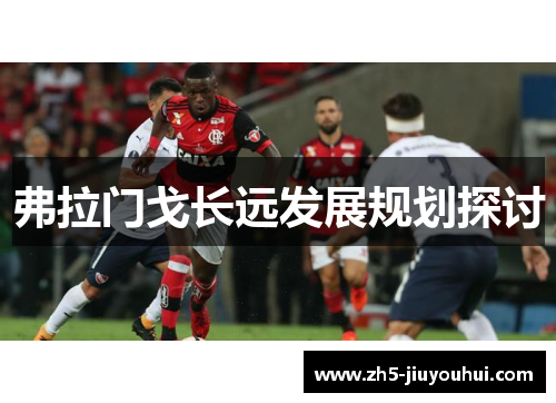 弗拉门戈长远发展规划探讨 弗拉门戈长远发展规划探讨